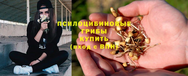 прущие крисы Алзамай