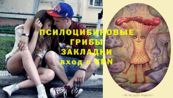 прущие крисы Алзамай